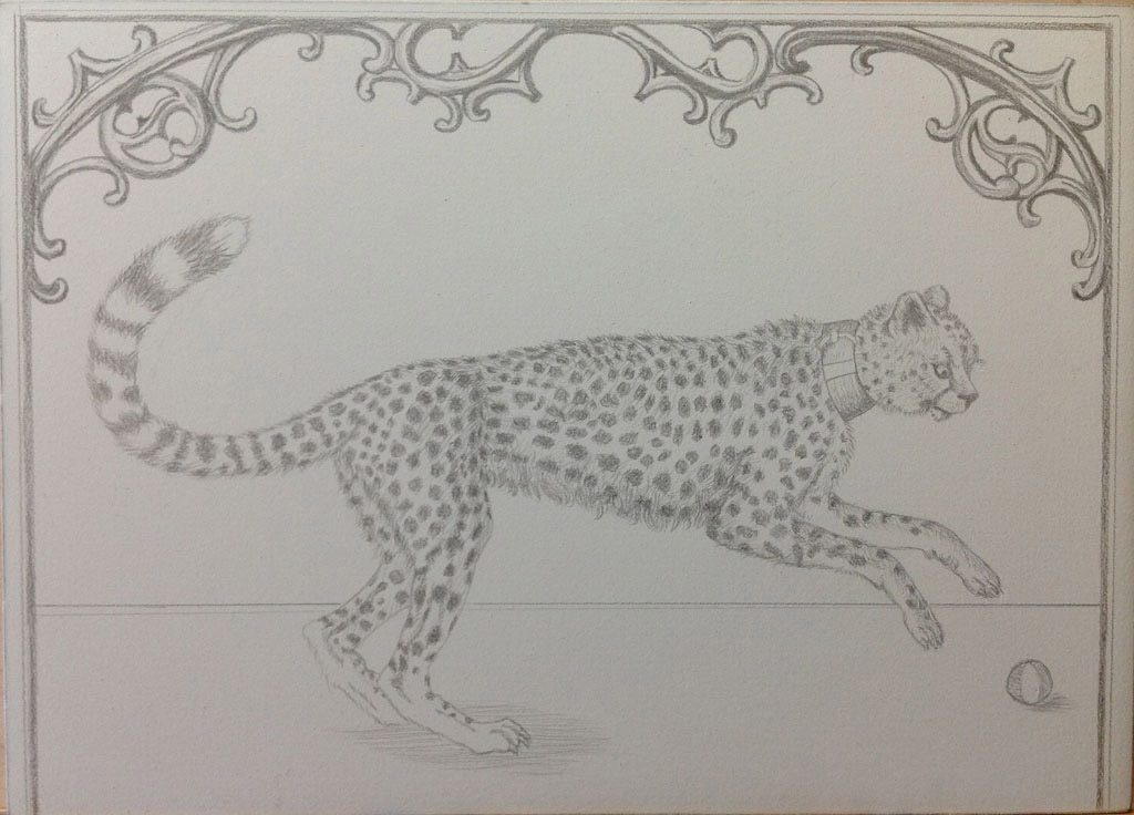 Marque Todd - Cheetah in Silverpoint